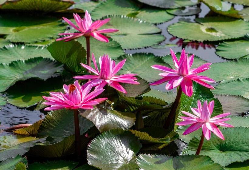 בית מלון כפרי Agroturistico Palma Vino