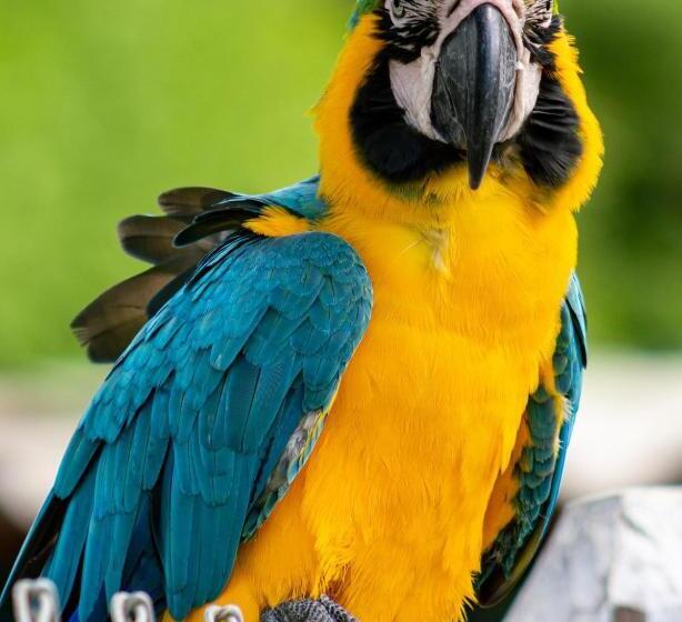 בית מלון כפרי Agroturistico Palma Vino