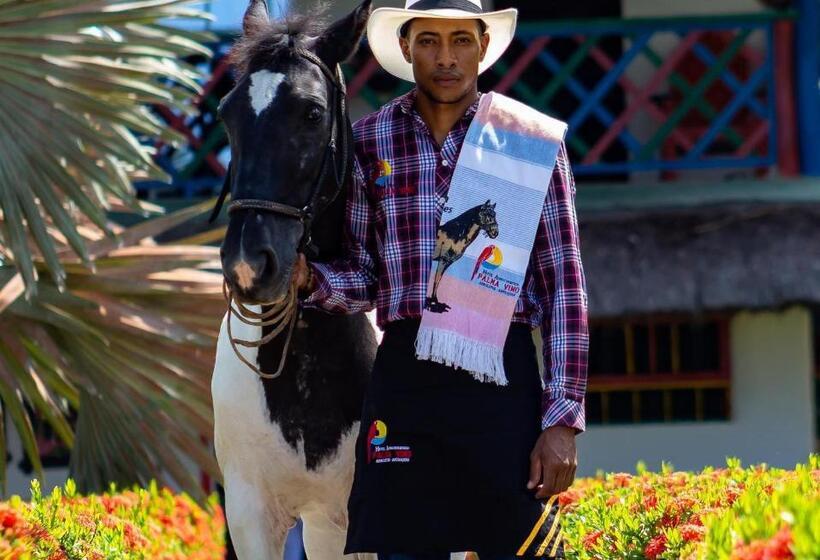 בית מלון כפרי Agroturistico Palma Vino