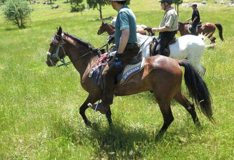 酒店 Ali Pasa Konagi