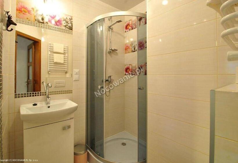 酒店 Domek Z Góralską Duszą śleboda