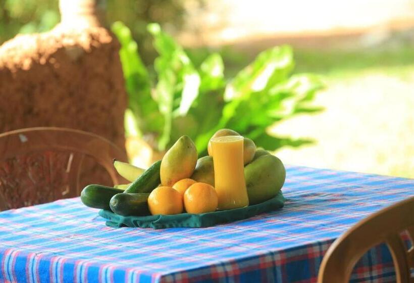 호텔 Green Light Holiday Village