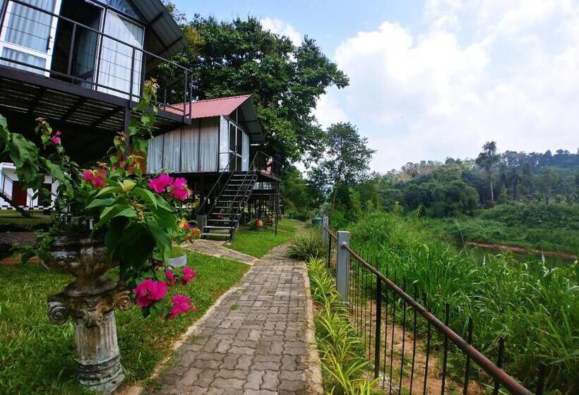 ホテル Kolonne Riverside Garden