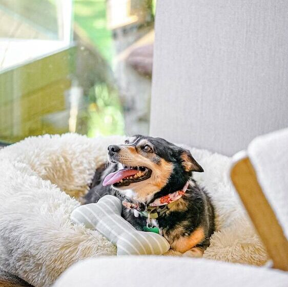 ホテル Quinta De Silvalde