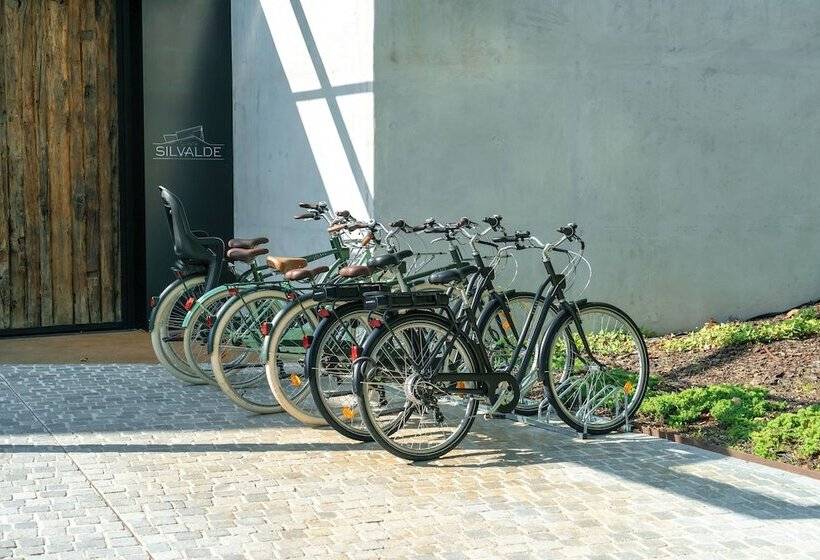 ホテル Quinta De Silvalde