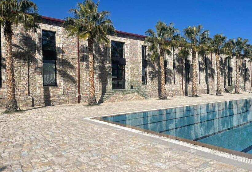 ホテル Rozafa Fish City