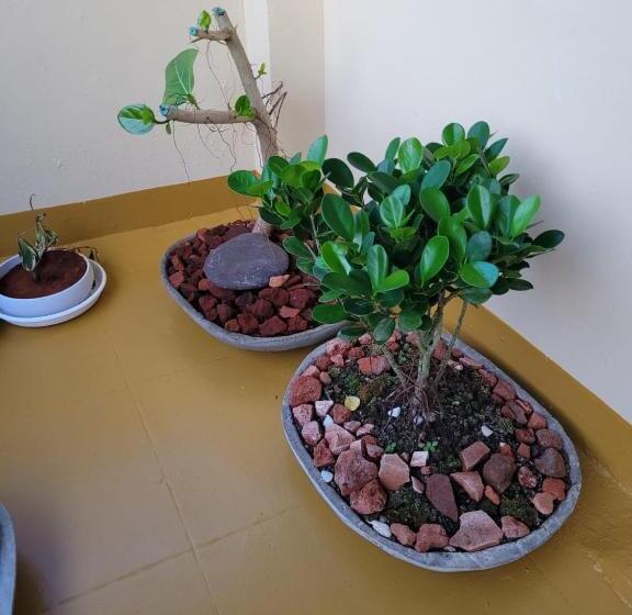 בית מלון כפרי Sandy Beach