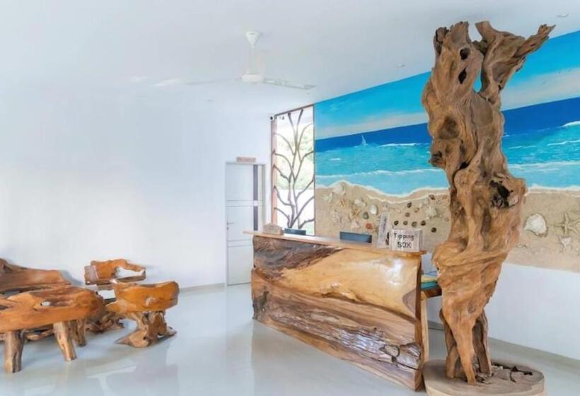 בית מלון כפרי Sea Shell Resort