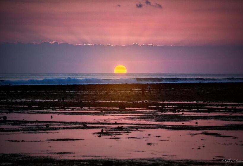 בית מלון כפרי Sea Shell Resort