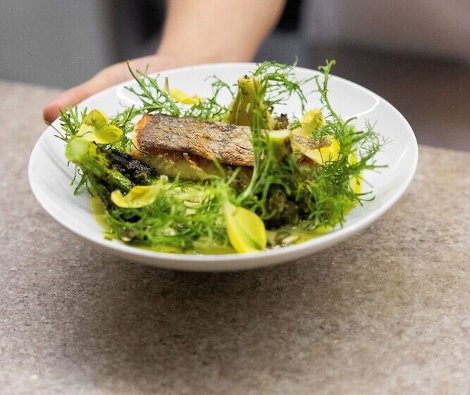 בית מלון כפרי Sureño Yucatan