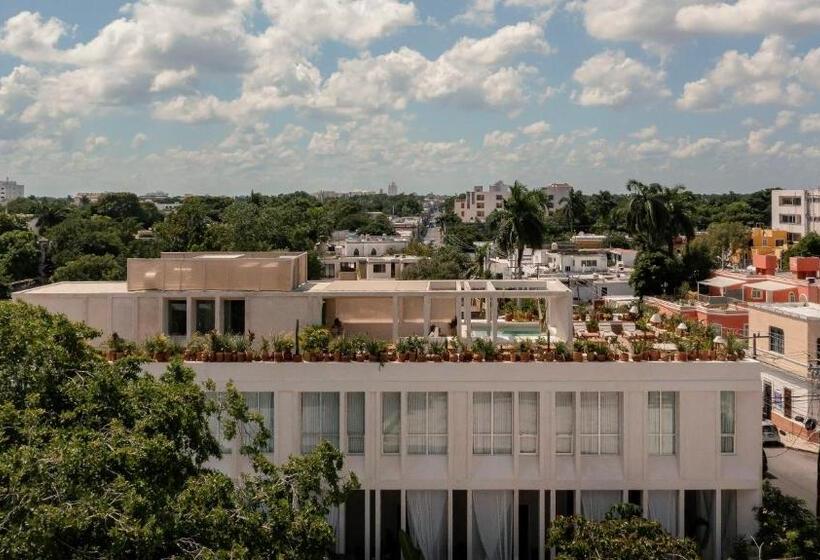 בית מלון כפרי Sureño Yucatan