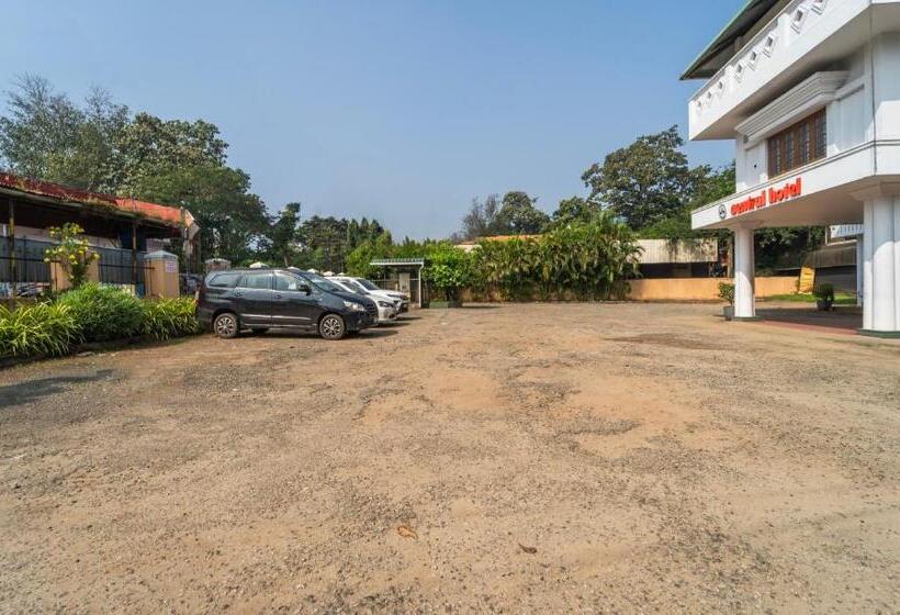 Hotel Treebo Central