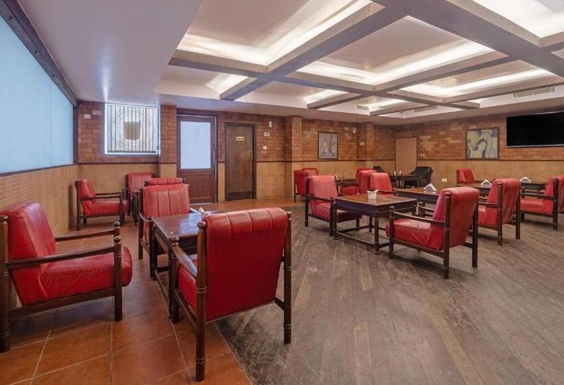 בית מלון כפרי Treebo Central