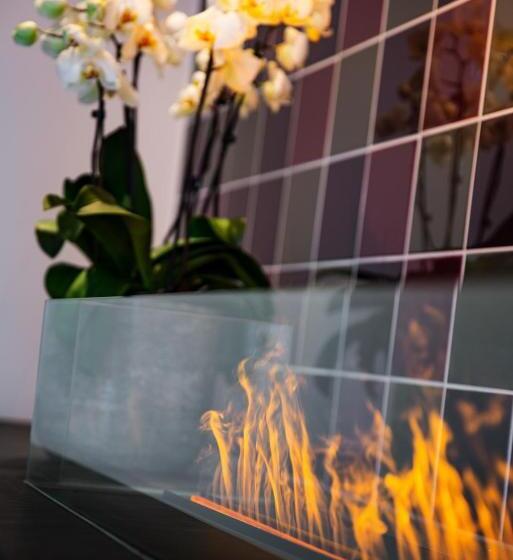 Intercityhotel Geneva