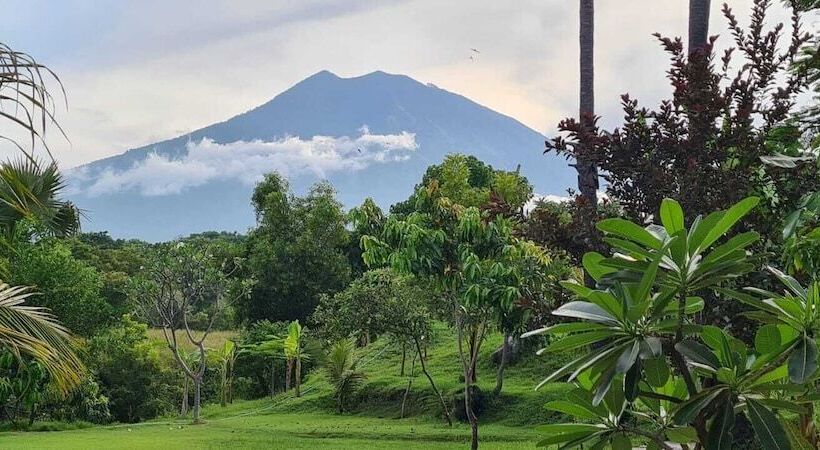 Palm Springs Bali Dive Resort