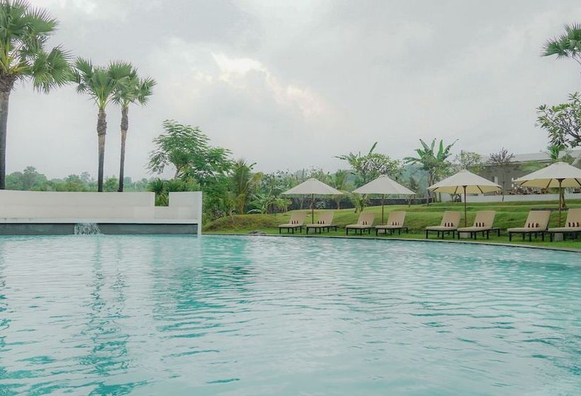 Palm Springs Bali Dive Resort