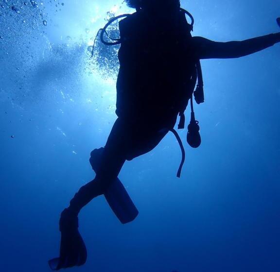 Palm Springs Bali Dive Resort