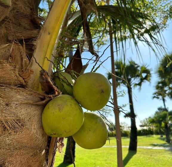 Palm Springs Bali Dive Resort