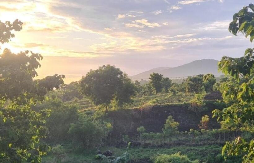 Palm Springs Bali Dive Resort