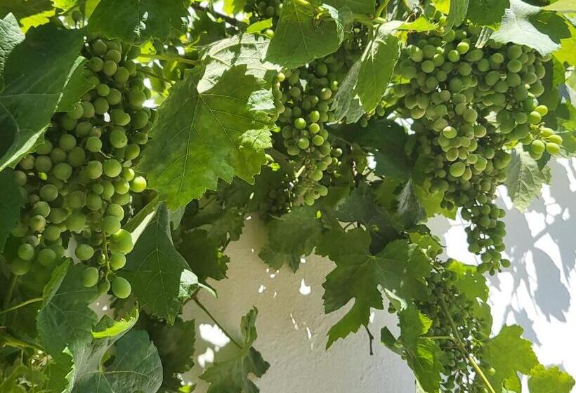 펜션 Casa Aventura