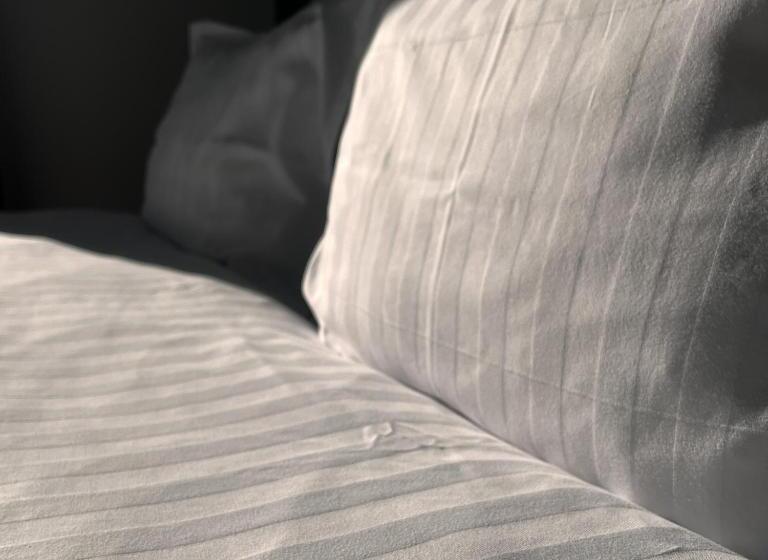 펜션 Chalet Deluț