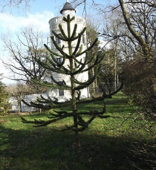 Пансион Chambres D Hôtes La Tour De Bellevue