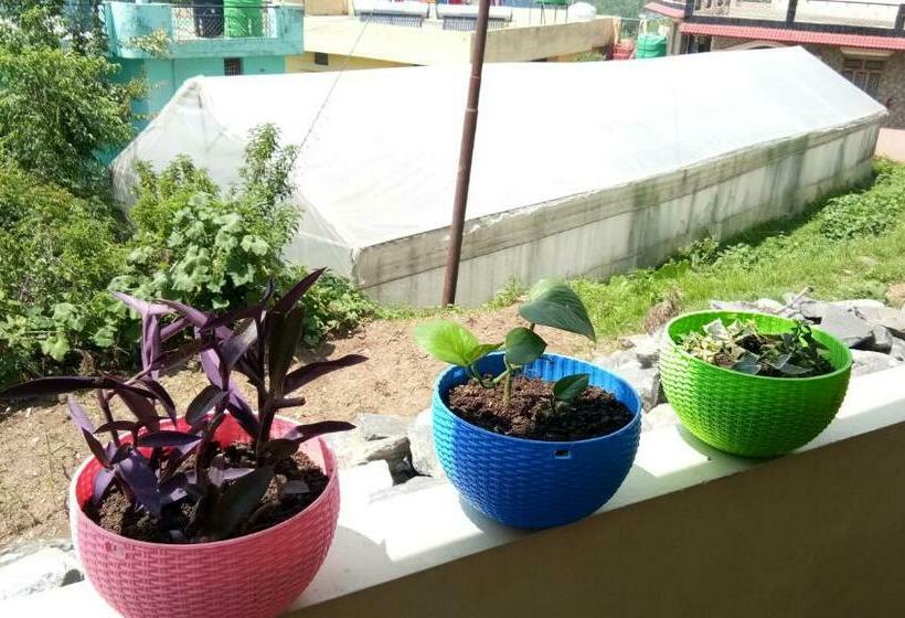 ペンション Kedar View Homestay