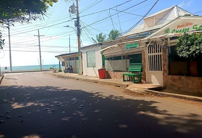 ペンション Room In House   Posada Nativa Green Sea San Luis