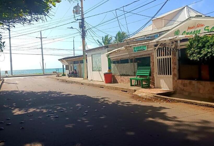 ペンション Room In House   Posada Nativa Green Sea San Luis