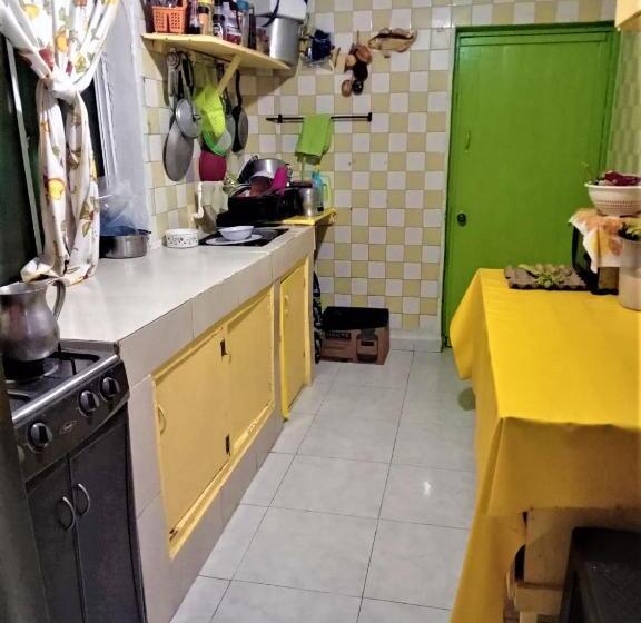 ペンション Room In House   Posada Nativa Green Sea San Luis