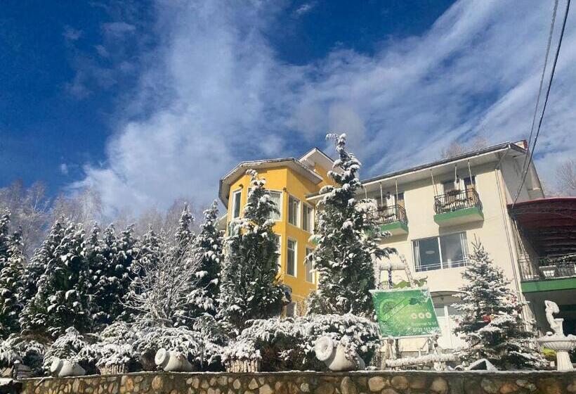 Pensiunea La Mesteceni  Zur Birke, Poiana Marului Caras Severin