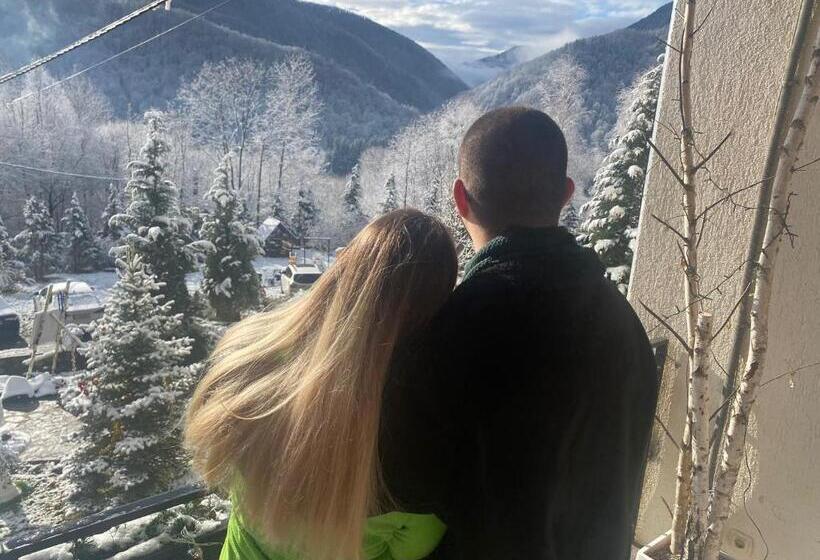 Pensiunea La Mesteceni  Zur Birke, Poiana Marului Caras Severin