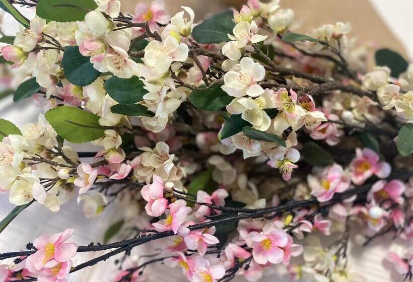 Pensiunea La Mesteceni  Zur Birke, Poiana Marului Caras Severin