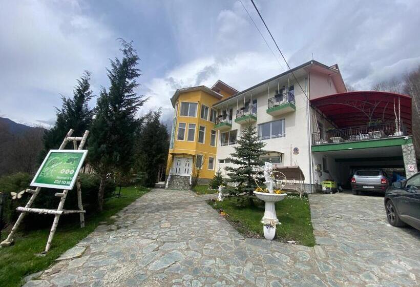 Pensiunea La Mesteceni  Zur Birke, Poiana Marului Caras Severin