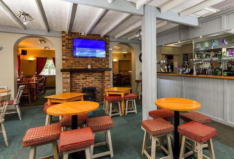 渡假胜地  Lowther Park