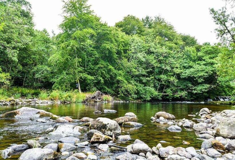 渡假胜地  Lowther Park