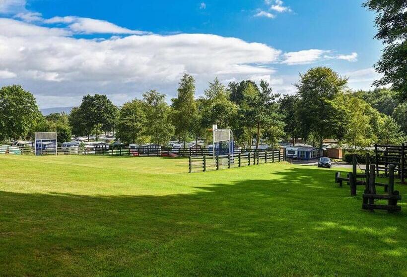 渡假胜地  Lowther Park