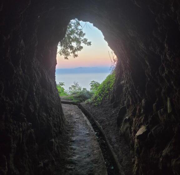 Sleep And Go In Santana In Nature B&b