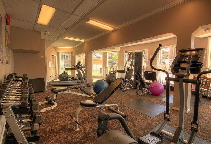 Vacation At Discovery Bay Resort