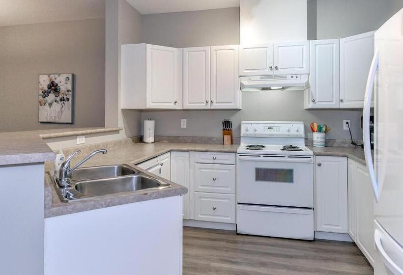 Vacation At Discovery Bay Resort