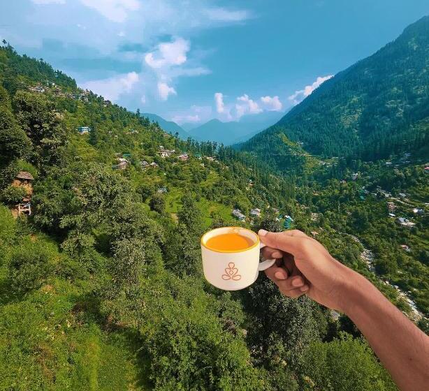 Young Monk Hostel & Cafe Jibhi