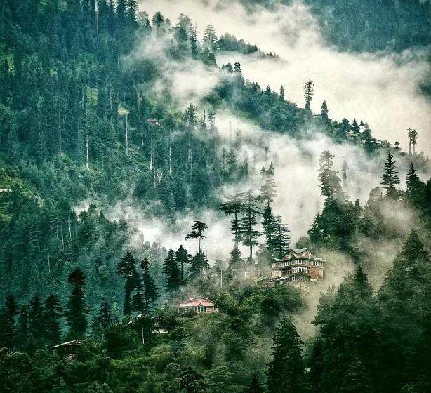 Young Monk Hostel & Cafe Jibhi