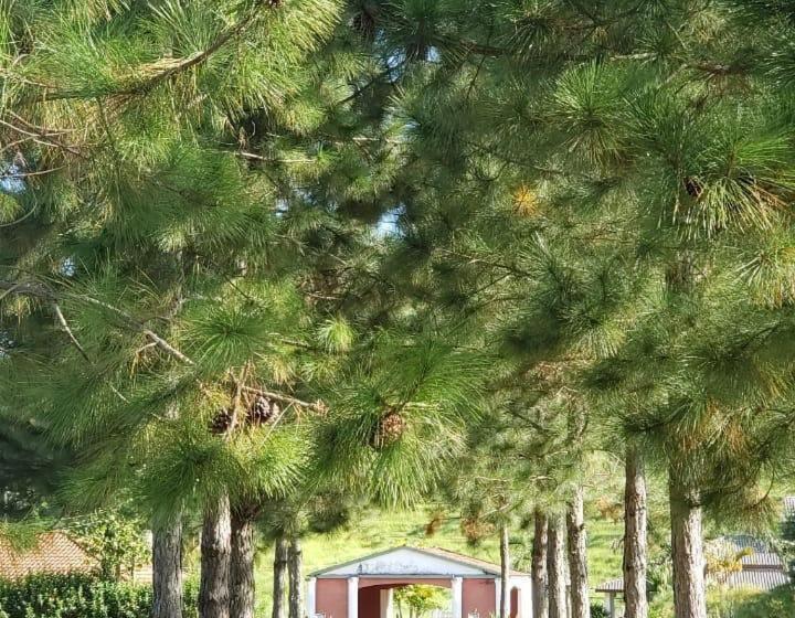 ユースホステル Pousada E Restaurante Village Mantovani