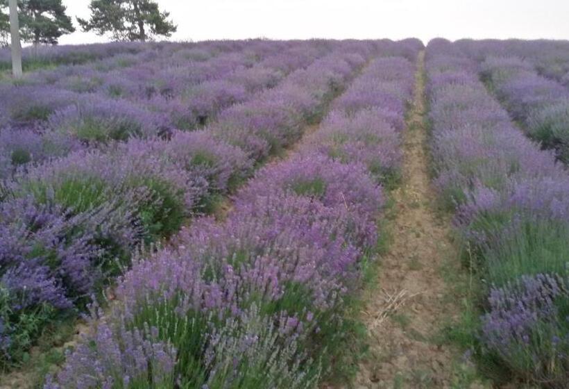 B&b Cascina Grattinera