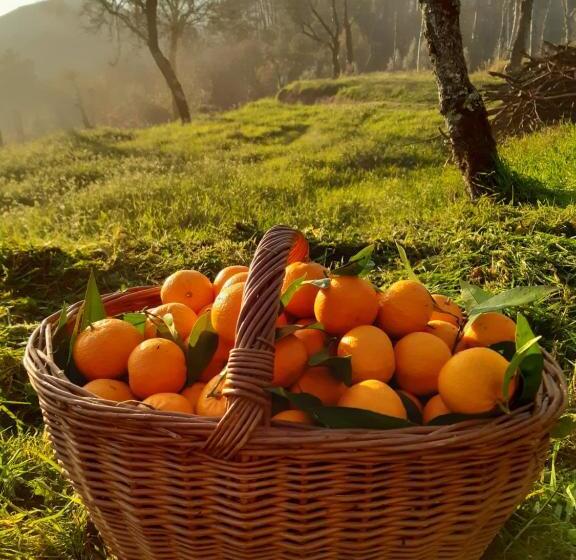 مبيت وإفطار A Casa Com 2 Pereiras