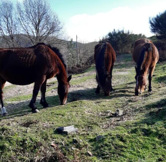 مبيت وإفطار A Casa Com 2 Pereiras