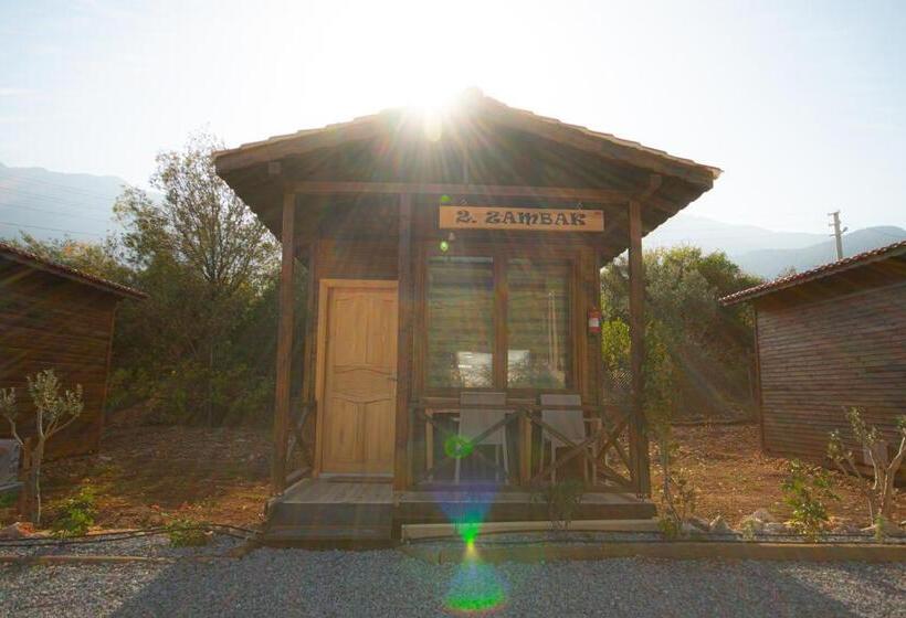 住宿加早餐  Alpstar Camping & Restaurant