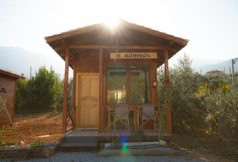 住宿加早餐  Alpstar Camping & Restaurant