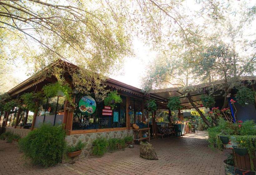 住宿加早餐  Alpstar Camping & Restaurant