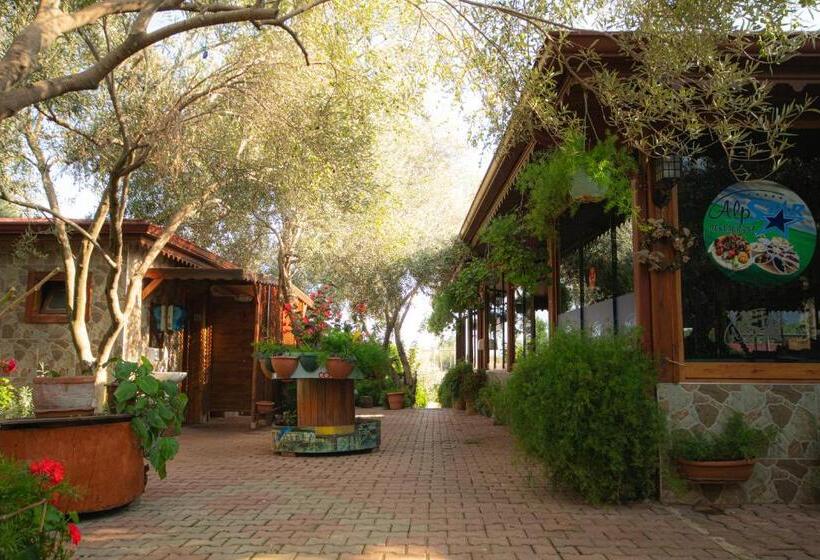 住宿加早餐  Alpstar Camping & Restaurant